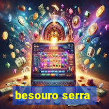 besouro serra-pau morde